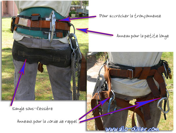 Materiel ou équipements d'élagage : harnais, cordage, reglex, sac a lancer  (page 1/4)